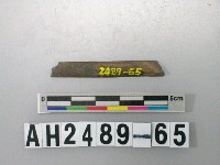 藏品(磨製石針)的圖片